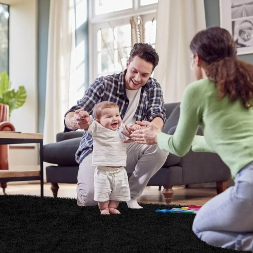 New Black Fluffy Area Rug 4x6 Feet, Soft Shaggy Fuzzy Carpet for Living Room